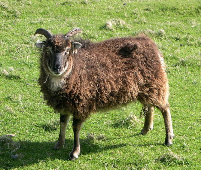 Related image