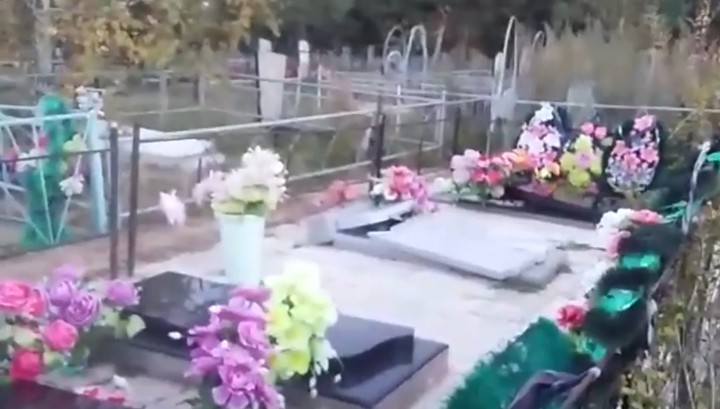 Два брата во время запоя разгромили кладбище в Амурской области