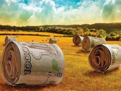 Забайкалье получит 65 миллионов рублей на развитие сельских территорий