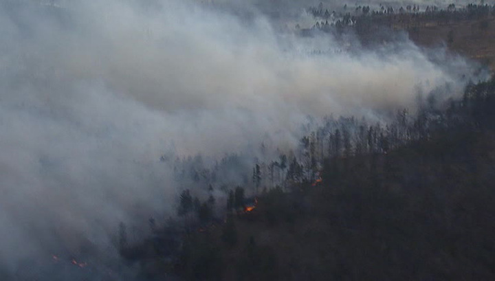 На Камчатке существенно сократилась площадь лесных пожаров
