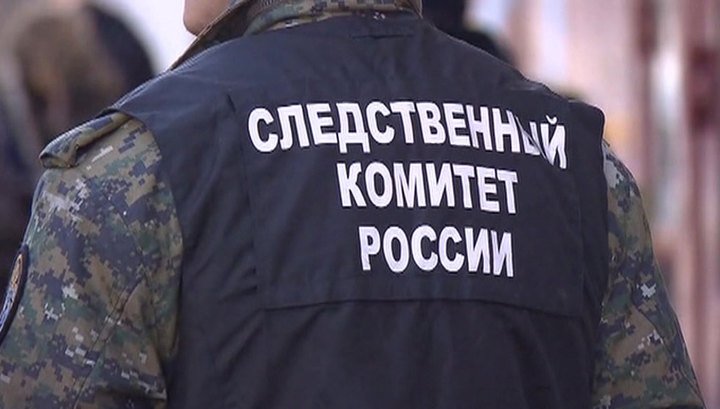 СК проверяет информацию о серии жестоких нападений подростков в Подмосковье