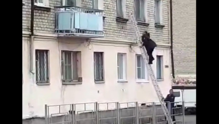 Штурм квартиры с мужчиной, устроившим стрельбу Забайкалье, попал на видео