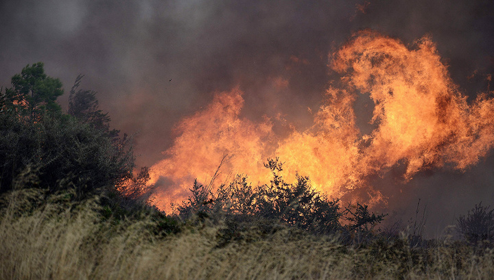 Лесные пожары в Греции: 91 человек погиб, 25 пропали без вести