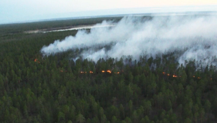 Режим ЧС из-за лесных пожаров объявлен в семи районах Иркутской области