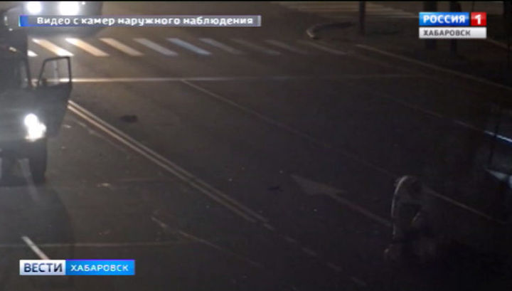 В Хабаровске полицейский на служебной машине сбил пешеходов на переходе, один погиб