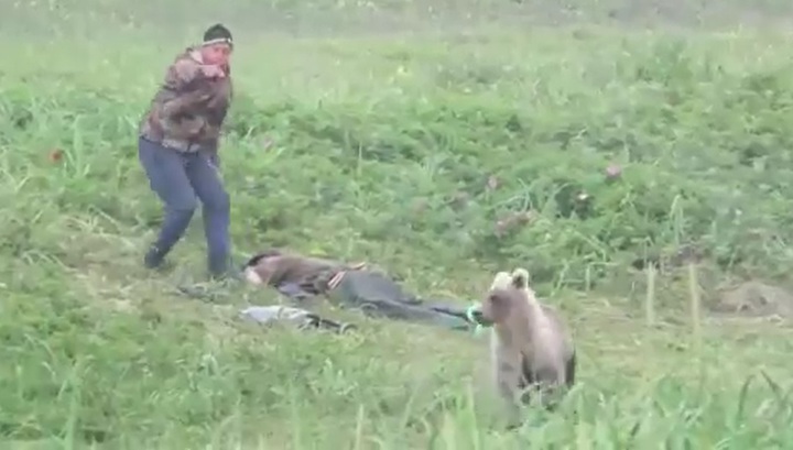 На Камчатке любопытный медвежонок застал врасплох задремавших мужчин. Видео