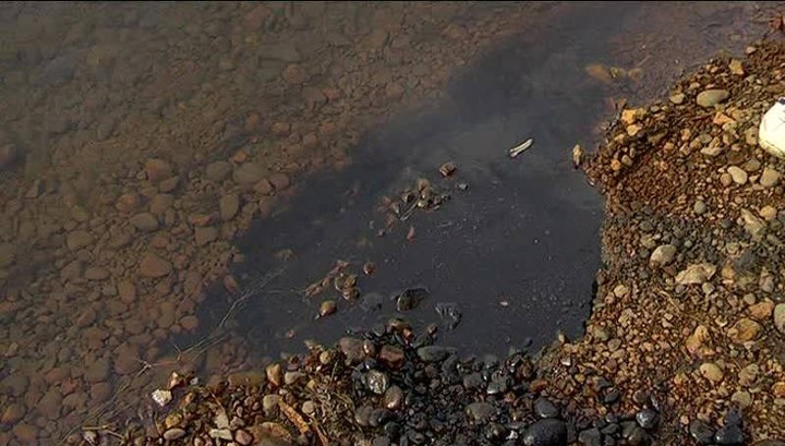 Нефтепродукты в Ангаре: Росприроднадзор взял ситуацию под контроль
