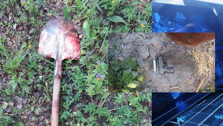 Во Владимирской области мужчина жестоко убил соседку из-за пропавшего котенка