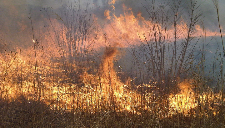 В Красноярском крае горят 70 гектаров сухостоя