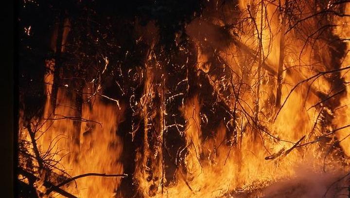 В Бурятии ликвидированы четыре лесных пожара