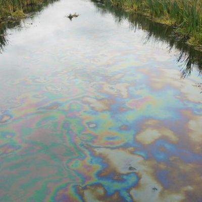 Пятно из нефтепродуктов обнаружили в реке Сходне в Москве Пятно из нефтепродуктов обнаружили в реке Сходне в Москве