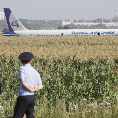 Специалисты продолжают расшифровку чёрных ящиков самолёта A321 Специалисты продолжают расшифровку чёрных ящиков самолёта A321