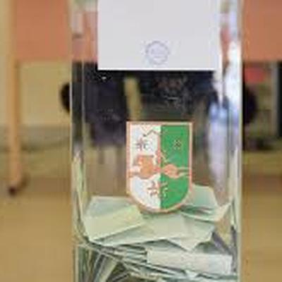 Явка избирателей на выборах в Абхазии составила 39% Явка избирателей на выборах в Абхазии составила 39%