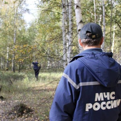 В лесу под Ставрополем найден завернутый в пакет телефон пропавшей школьницы В лесу под Ставрополем найден завернутый в пакет телефон пропавшей школьницы
