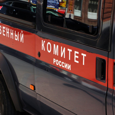 Спасатели нашли тела двух детей, провалившихся под лед в поселке Горный Спасатели нашли тела двух детей, провалившихся под лед в поселке Горный