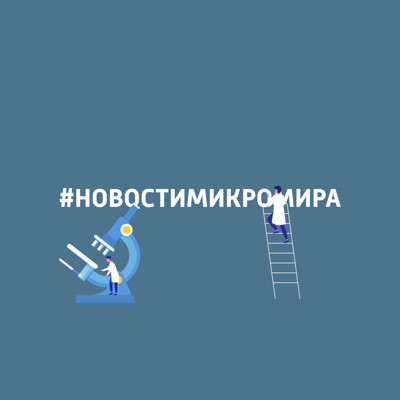 #новостимикромира