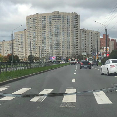 Более 60 деревьев повалил сильный ветер в Петербурге Более 60 деревьев повалил сильный ветер в Петербурге
