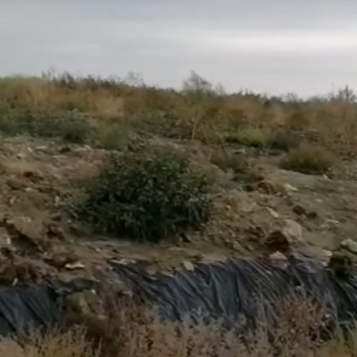 В Волгоградской области возбудили дела из-за хищения по нацпроекту В Волгоградской области возбудили дела из-за хищения по нацпроекту