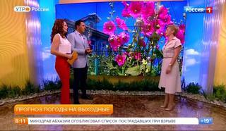 Елена Волосюк Ножки