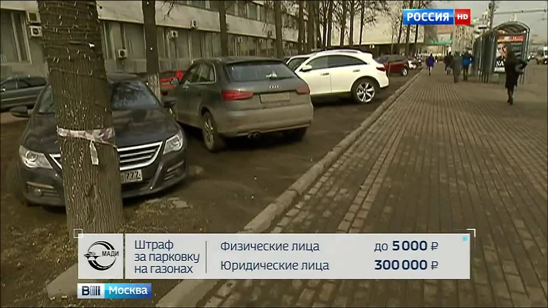 Штраф за стоянку на газоне в Москве для юридических лиц