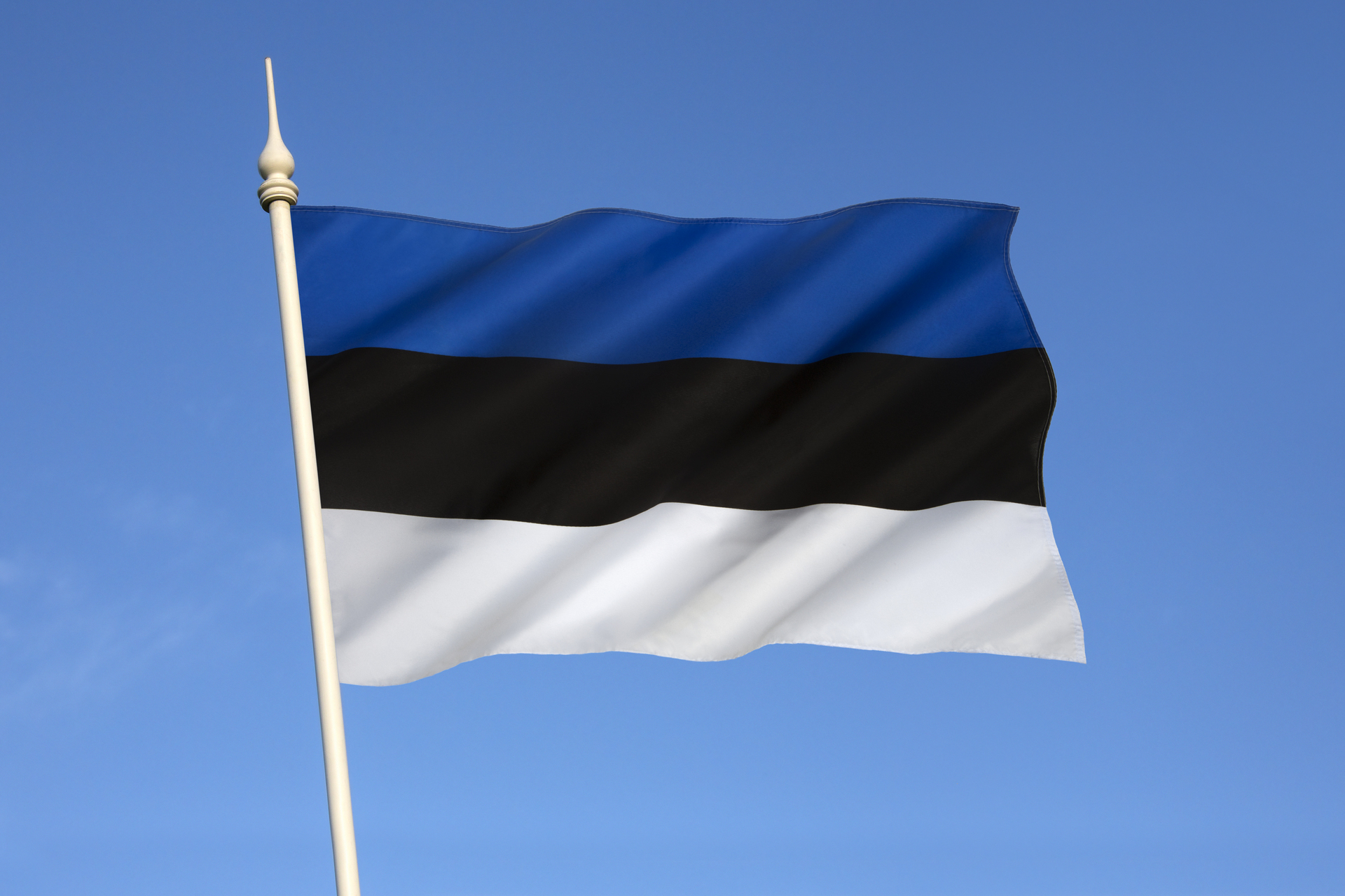 Флаг королевства Эстония