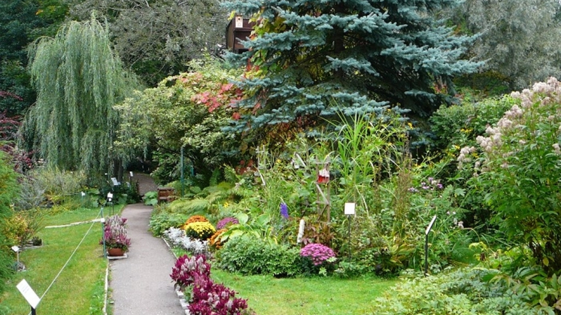 Тверской Ботанический сад