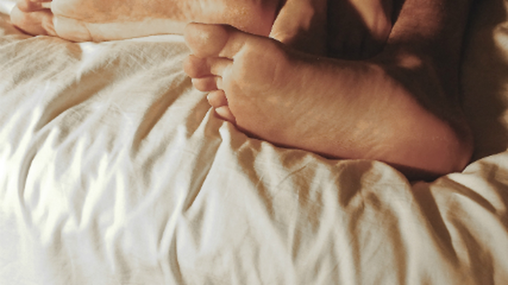 ��������� ����� ����� �����, ������ ���� �������� ����