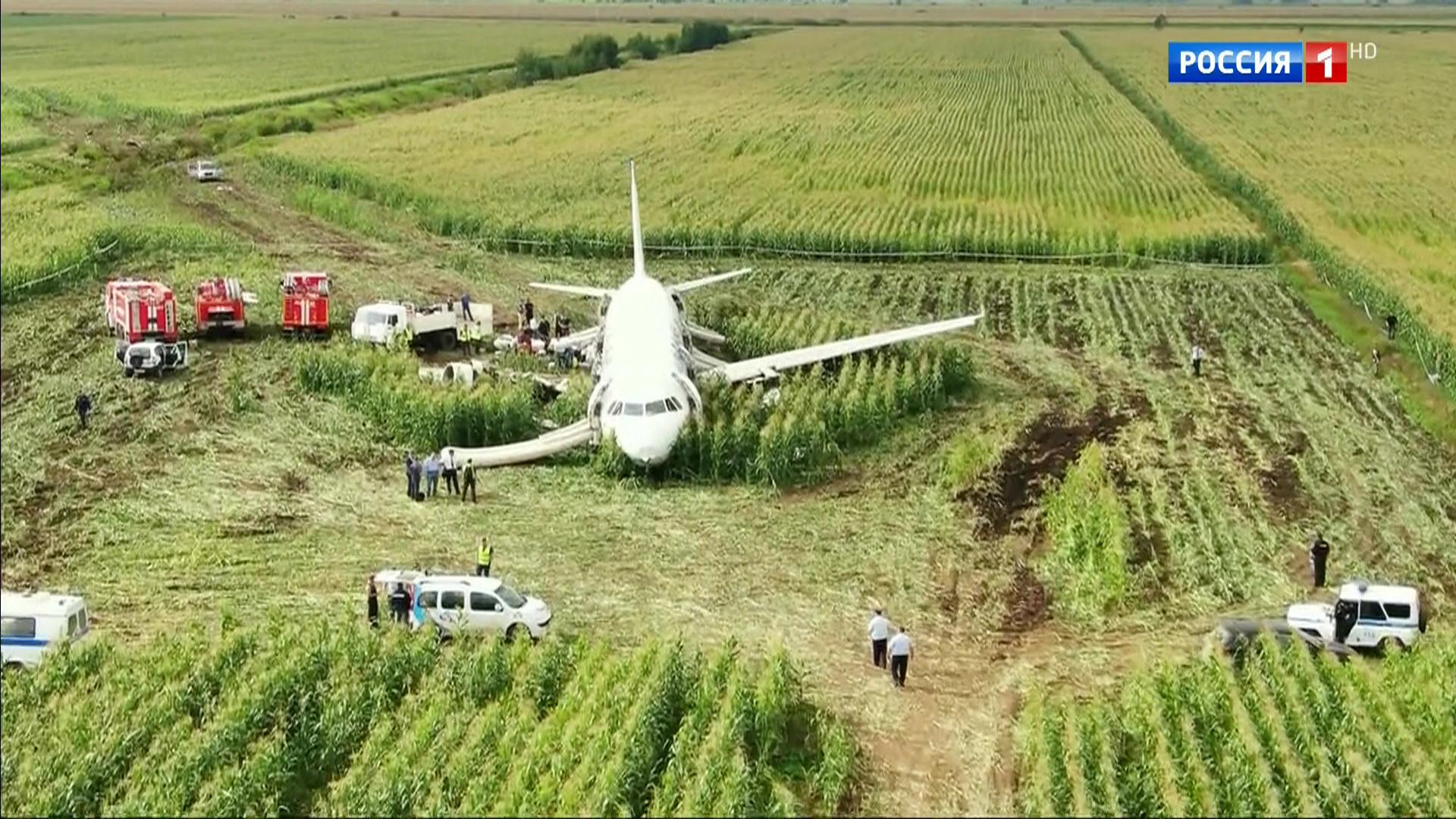 Самолёт сел на кукурузное поле в Жуковском