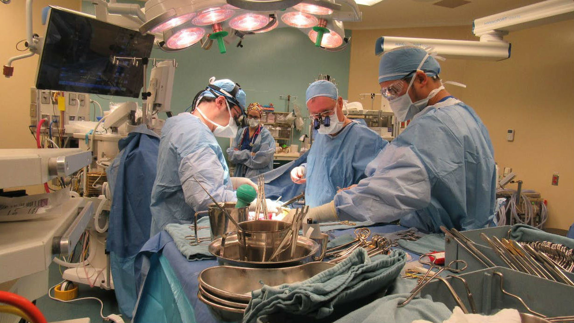 Трансплантация органов и тканей