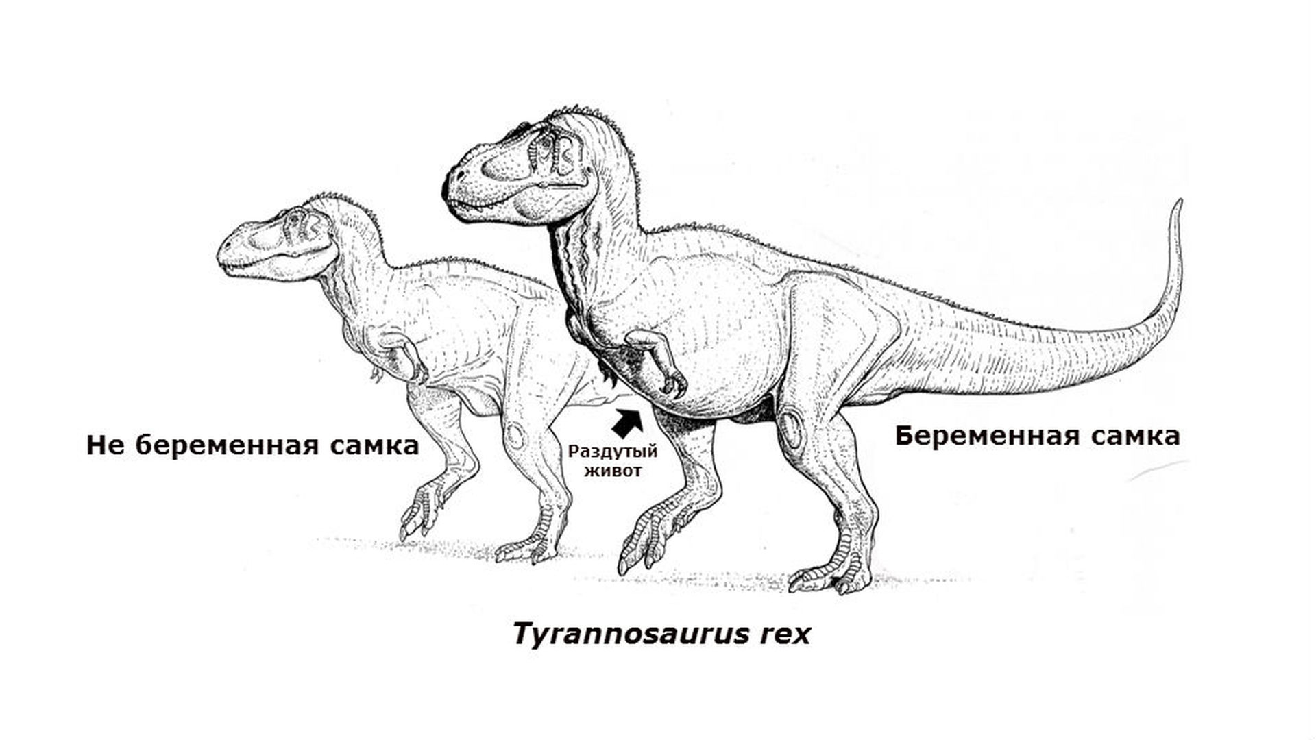 Высота тираннозавра