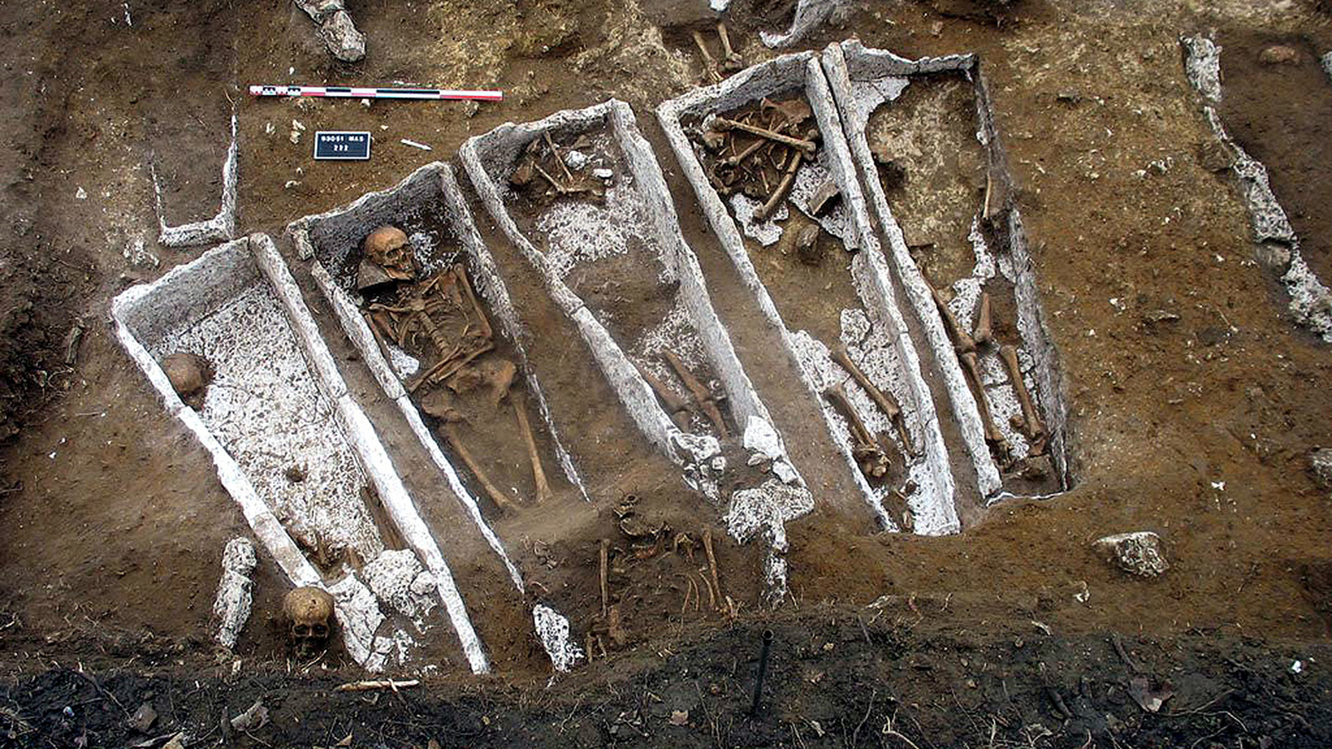 Раскопанные могилы 14 века