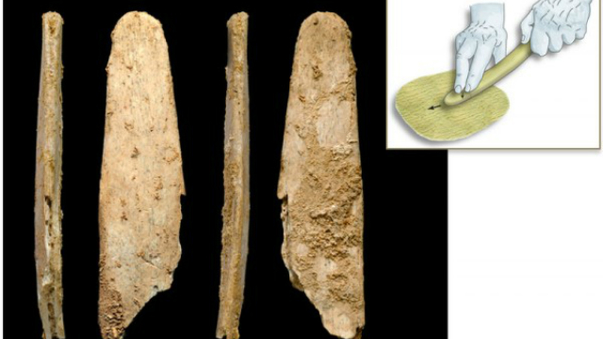 Древние люди неандертальцы орудия труда