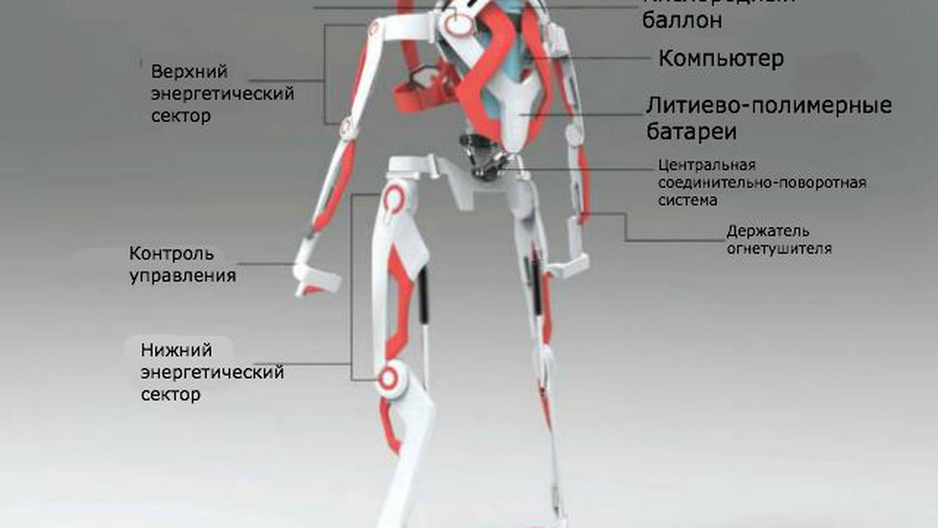 Презентация на тему экзоскелет