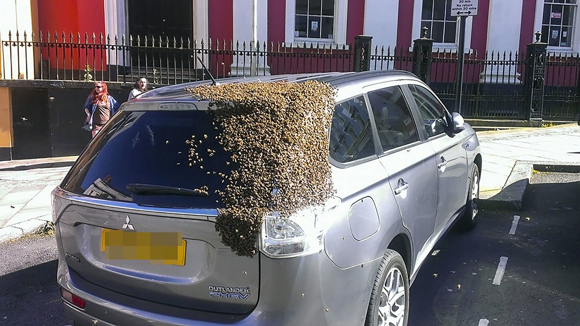 Машина пчела