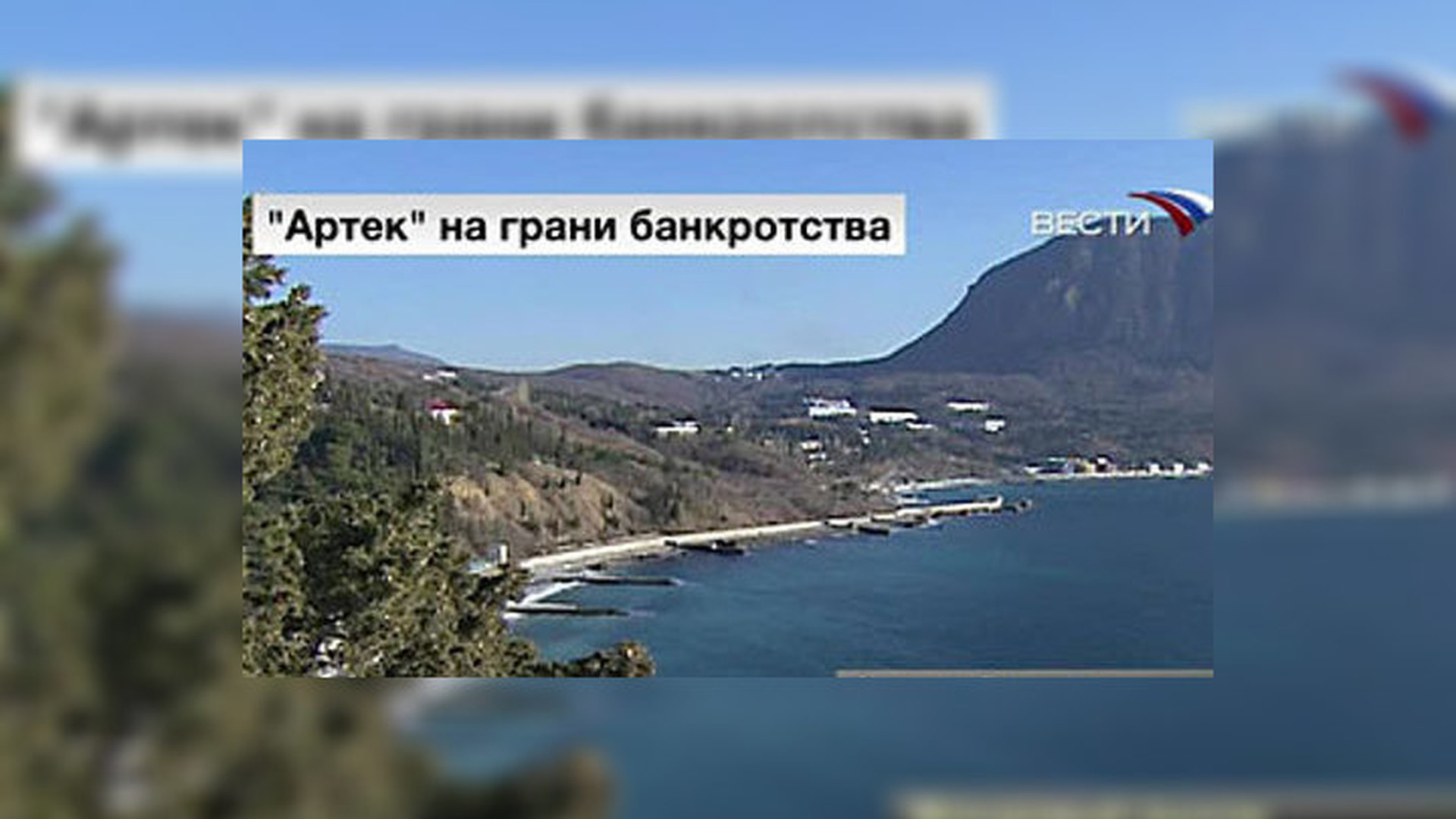 Артек при украине фото