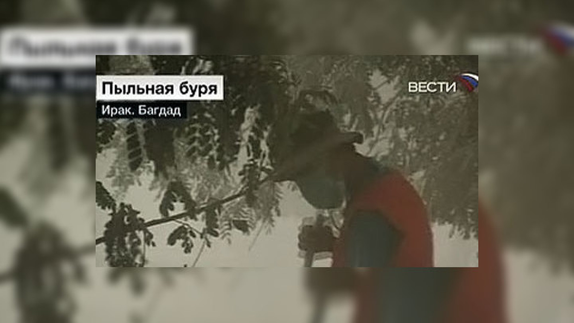 буря за окном не войдет в наш дом