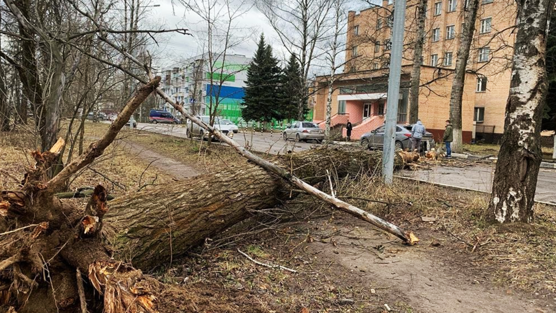 Ураган в Москве повалил деревья