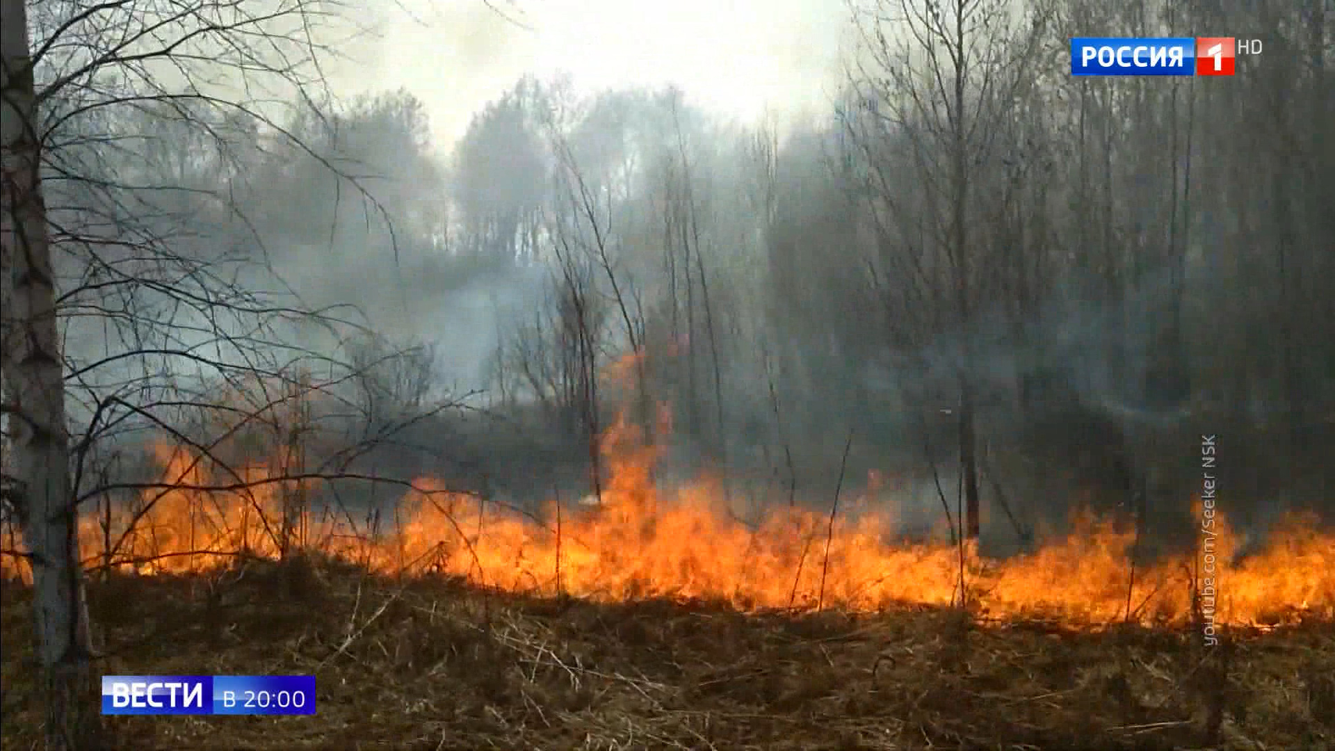 Гроза пожар. Пожар в лесу. Горящий лес. Баллы пожара. Пожар в заповеднике денежкин камень.
