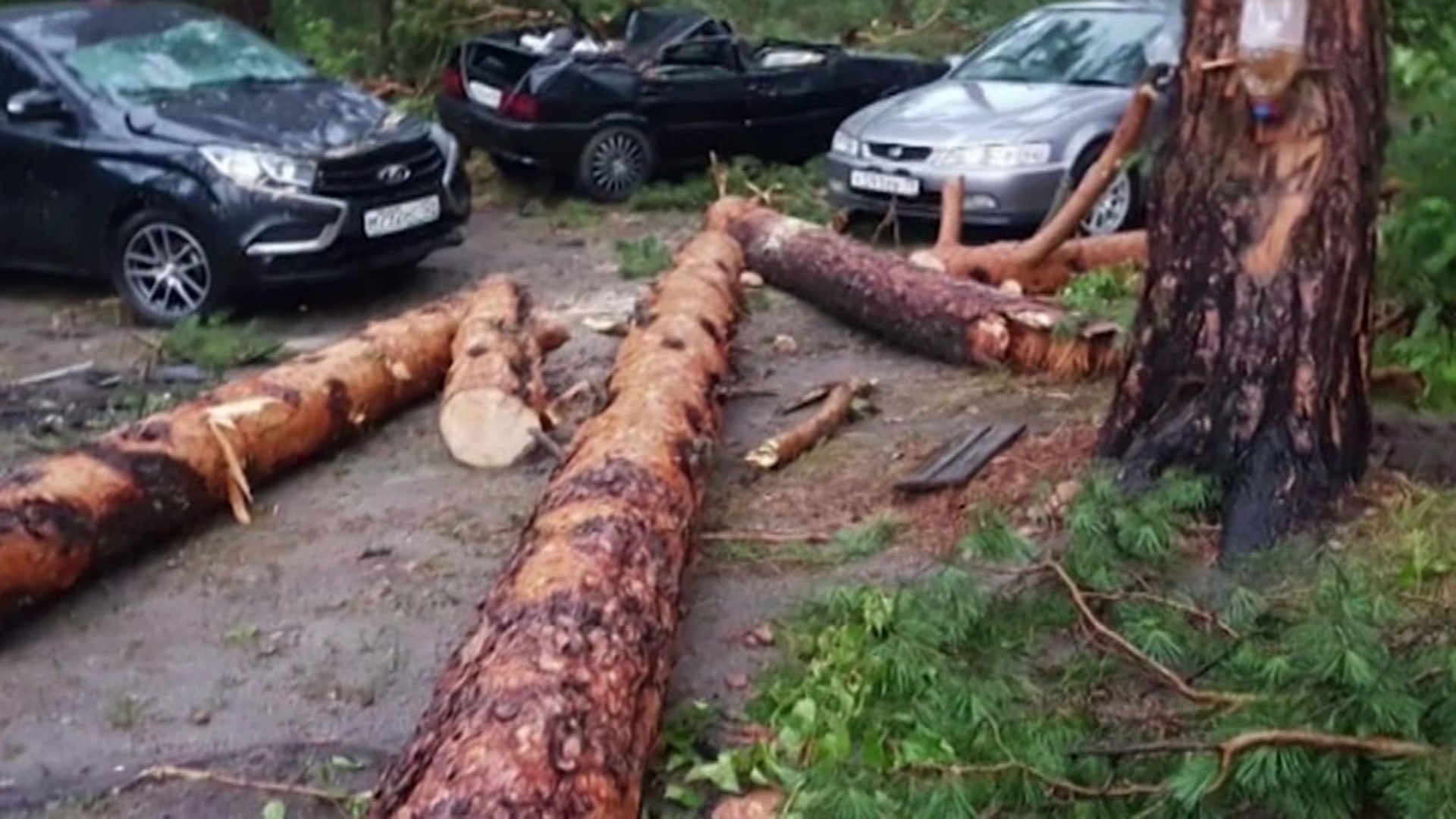 Ураган повалил деревья на автомобили и палатки