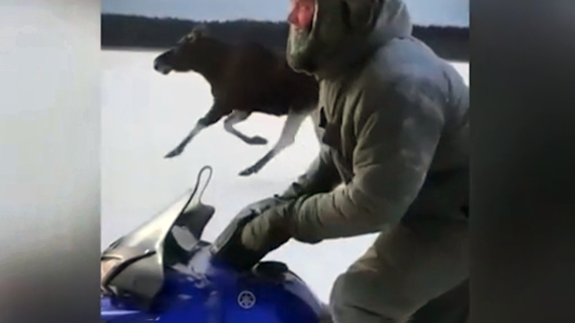 Приснился Лось Убитый