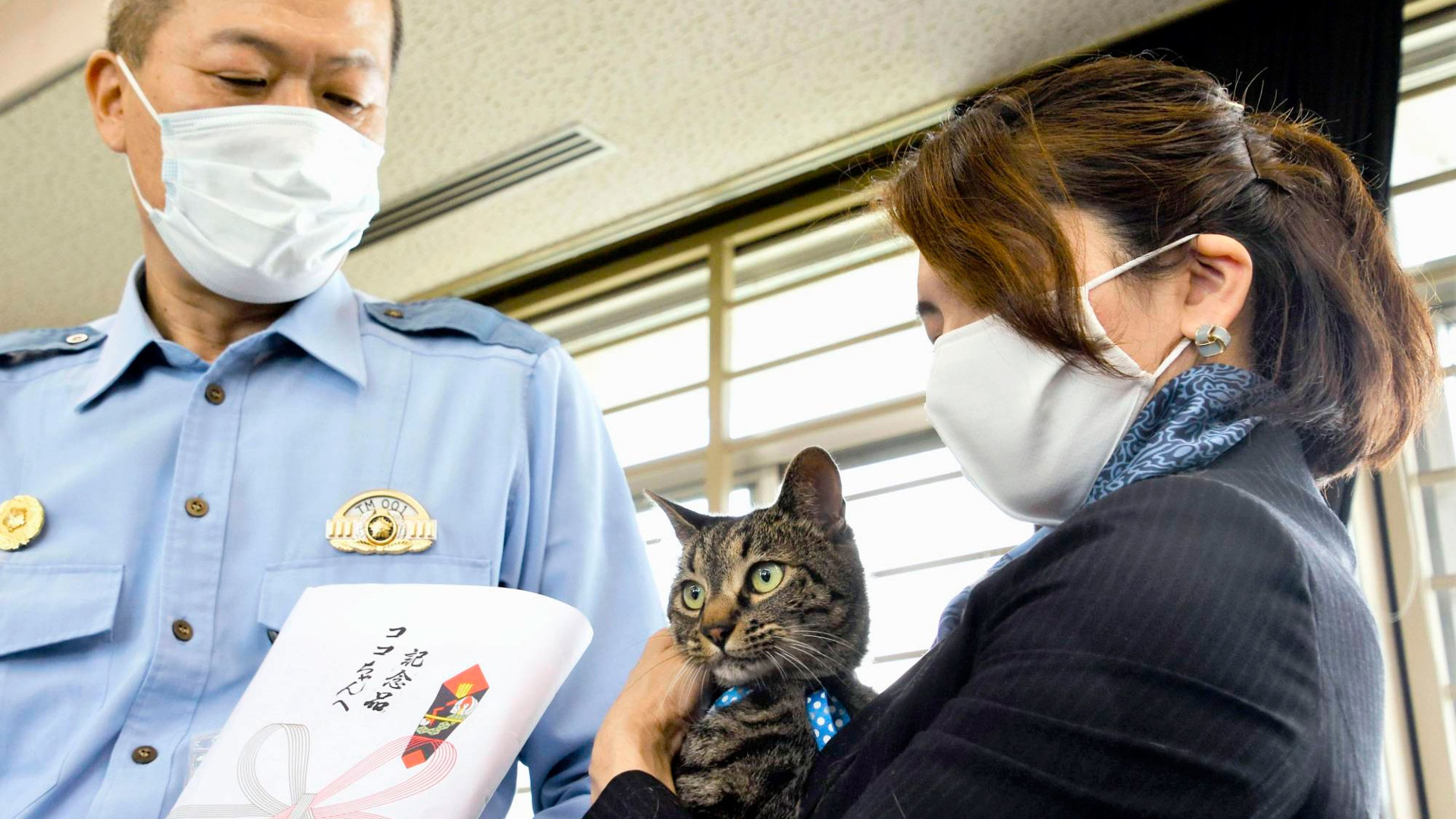 Кошка полиция в Японии