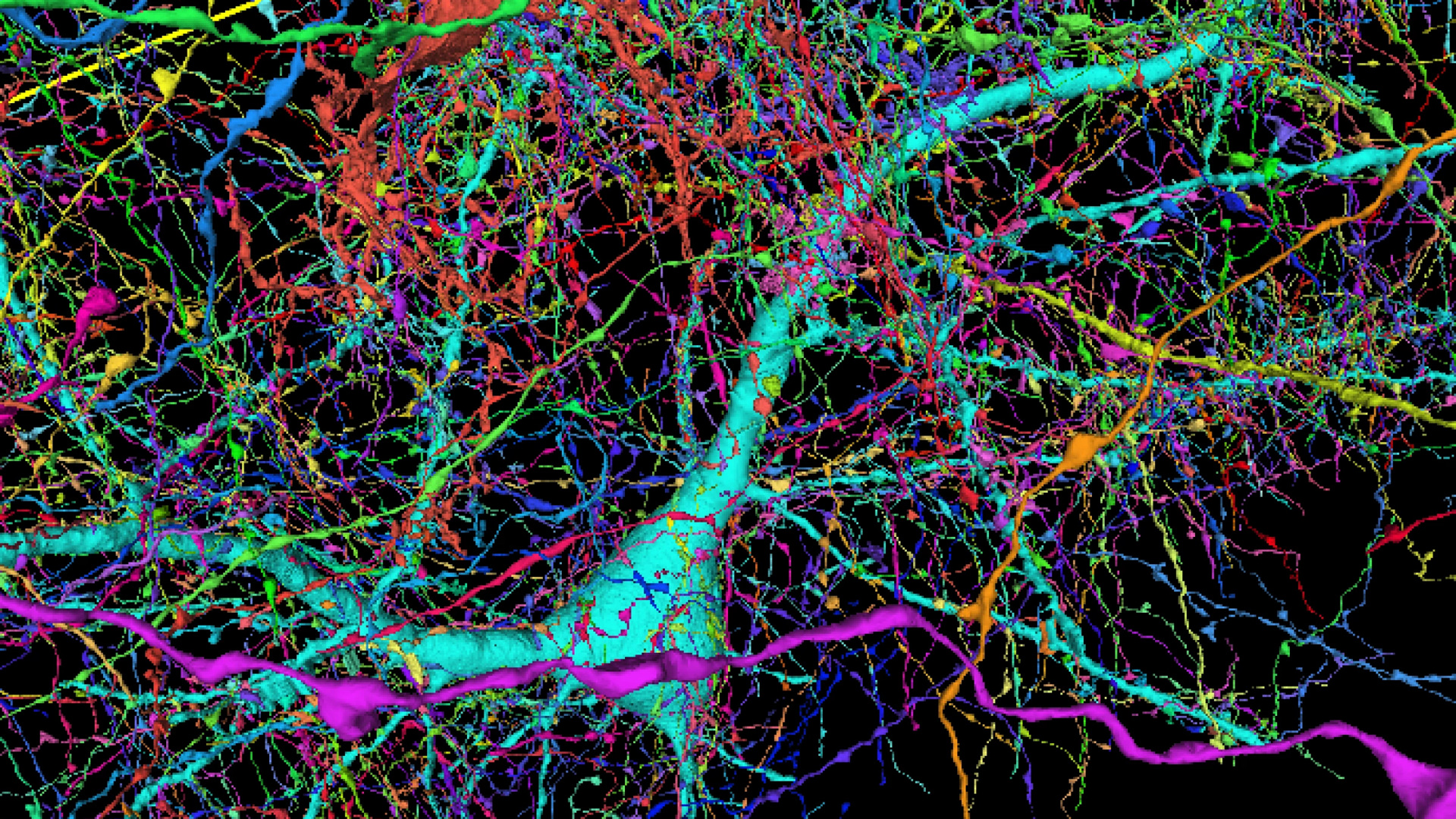 Нейронные сети головного мозга ребенка