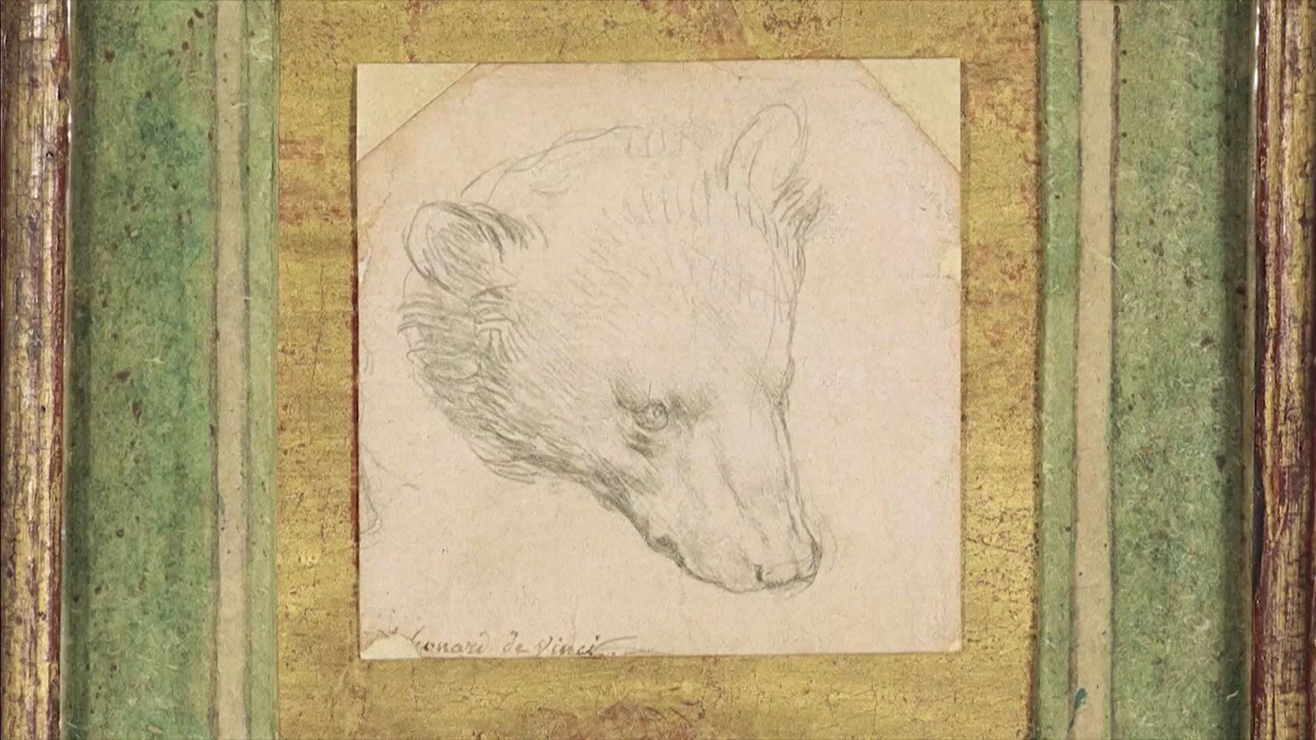 Леонардо да Винчи зарисовки медведя