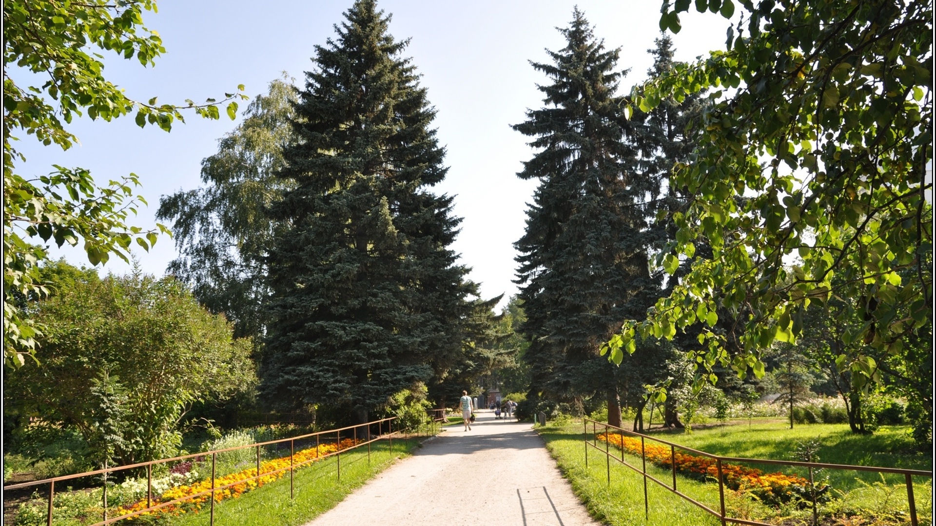 Дендропарк екатеринбург фото летом