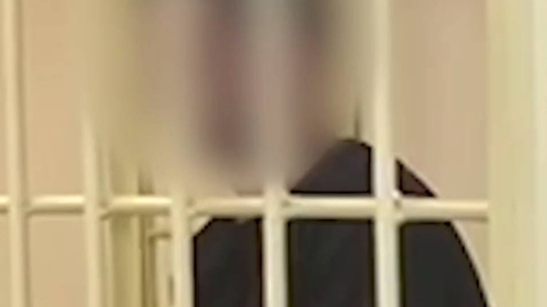 под стражу на 2 месяца