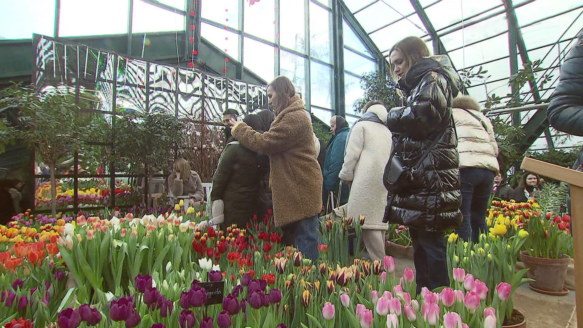 аптекарский огород сегодня в москве