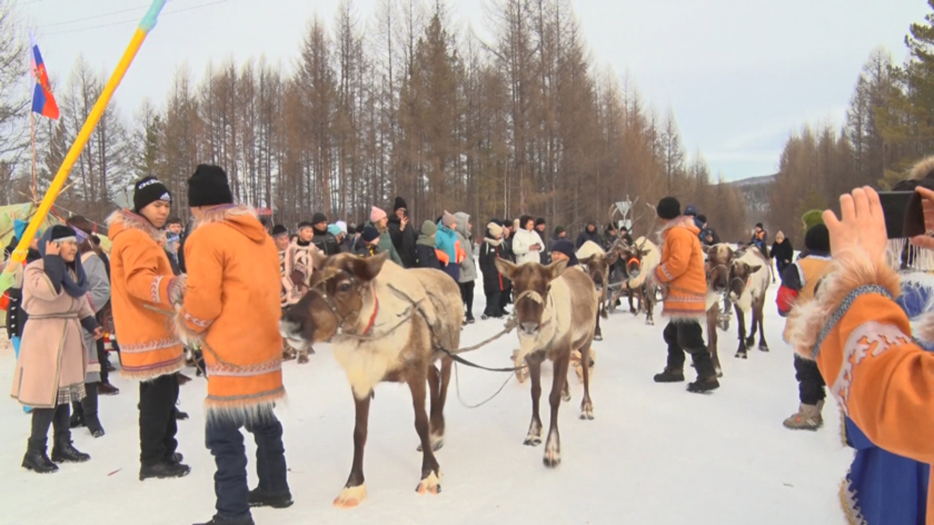 день оленевода саранпауль