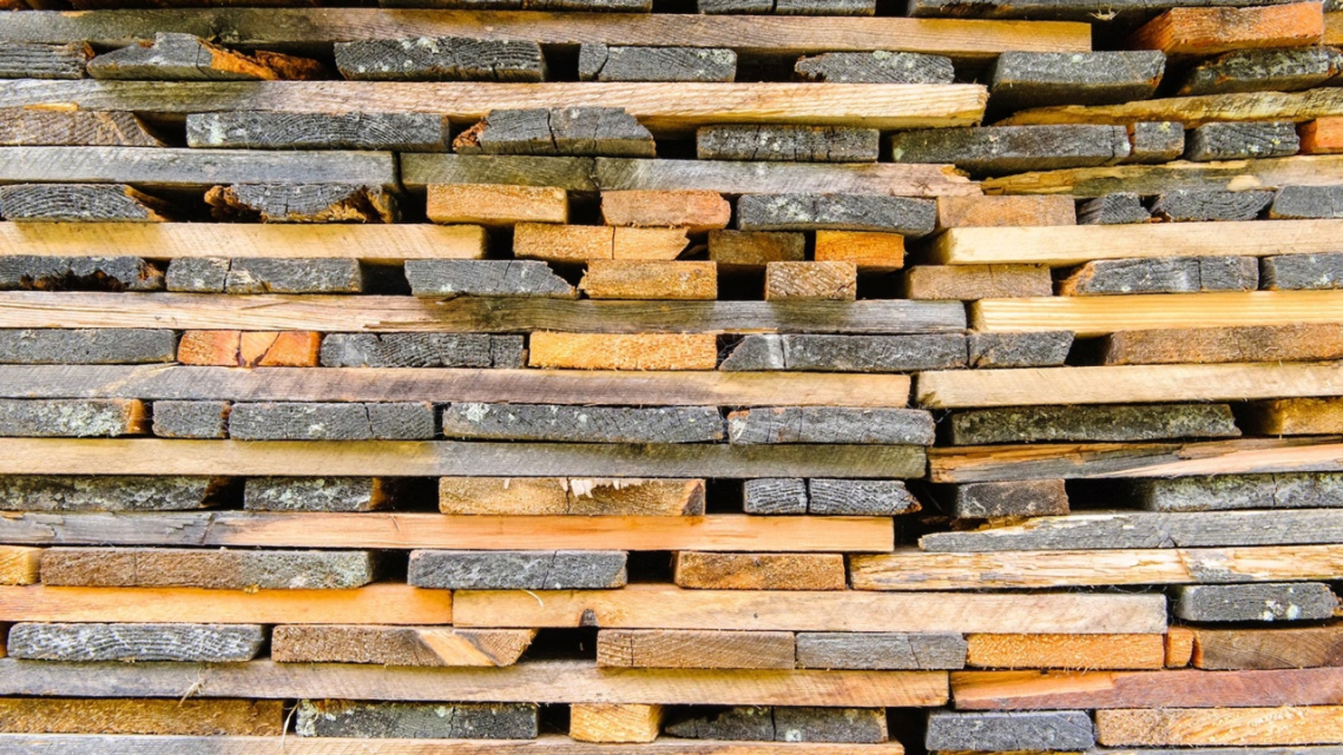 Обработка древесины и производство изделий из дерева и пробки кроме мебели