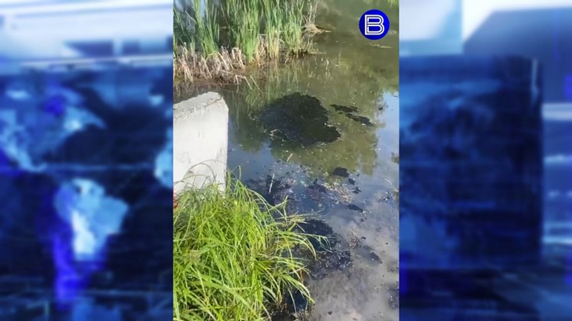 Озеро москвичево в новосибирске карта