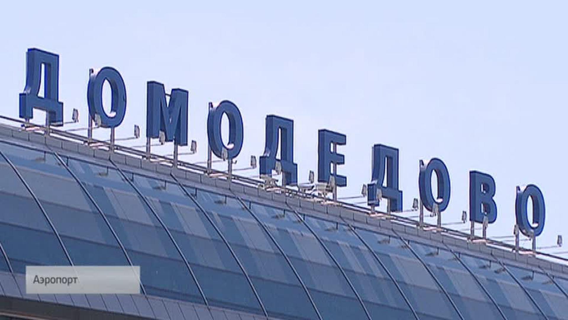 Аэропорт Москва Домодедово лого